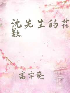 沈先生的花式调数