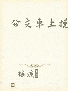 公交车上摸下体