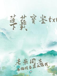 莲花宝鉴txt下载