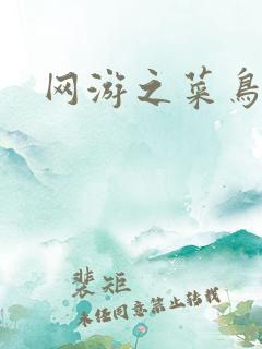 网游之菜鸟江湖