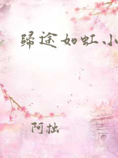 归途如虹小说