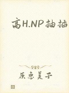 高H.NP抽插