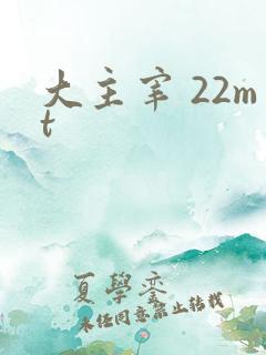 大主宰 22mt