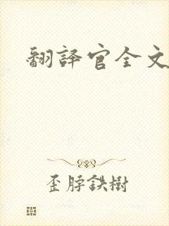 翻译官全文阅读