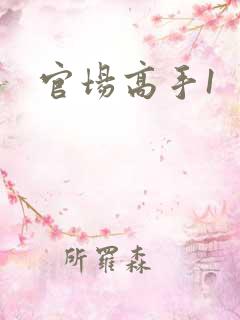 官场高手1