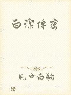 白洁传密