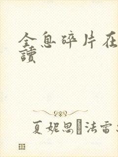 全息碎片在线阅读
