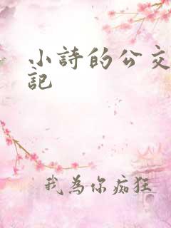 小诗的公交车日记