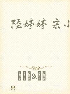 陆婷婷 宋小易
