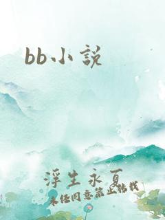 bb小说