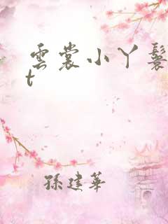 云裳小丫鬟txt