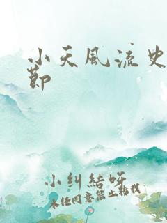 小天风流史未删节