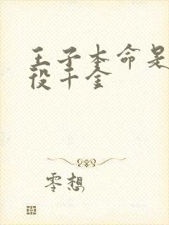 王子本命是是恶役千金