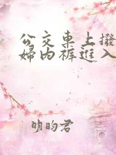 公交车上拨开少妇内裤进入