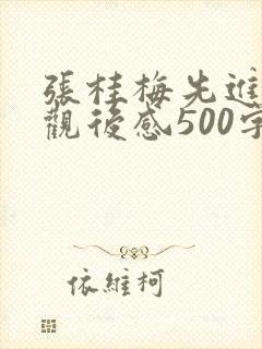 张桂梅先进事迹观后感500字
