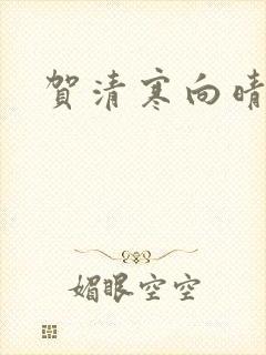 贺清寒向晴小说