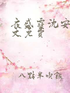 夜盛霆沈安然全文免费