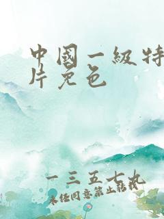 中国一级特黄大片免色