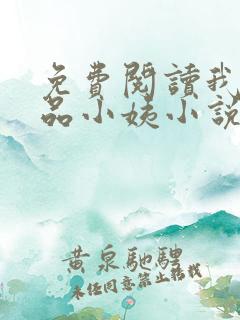 免费阅读我的极品小姨小说