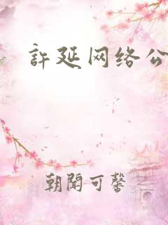 许延网络公关