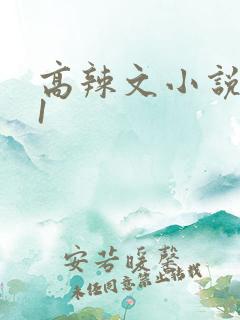高辣文小说1v1