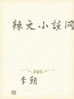 辣文小说网