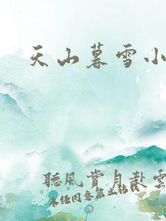 天山暮雪小说