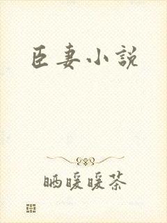 臣妻小说