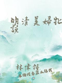 明清美妇牝户小说