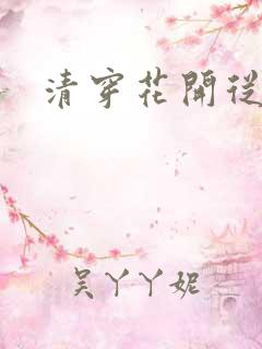 清穿花开从容