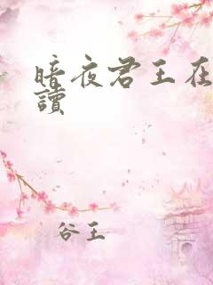 暗夜君王在线阅读