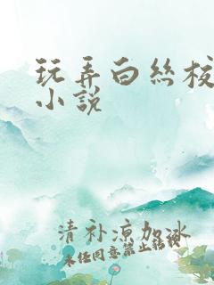 玩弄白丝校花的小说