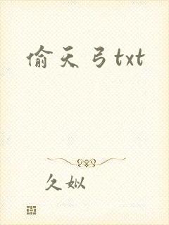 偷天弓txt
