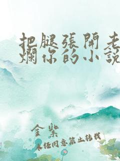 把腿张开老子臊烂你的小说