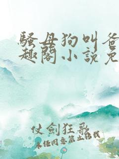 骚母狗叫爸爸笔趣阁小说免费阅读