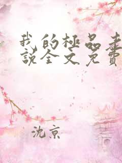 我的极品老婆小说全文免费阅读