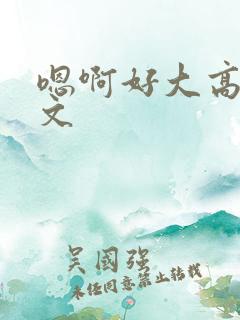 嗯啊好大高h辣文