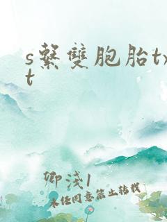 s系双胞胎txt