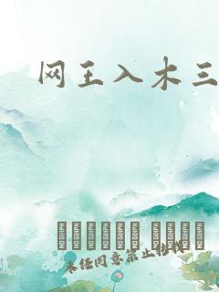 网王入木三分