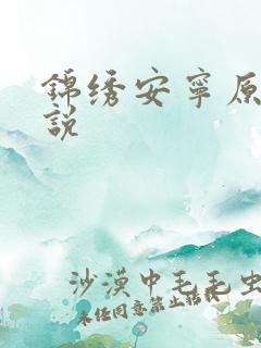 锦绣安宁原著小说