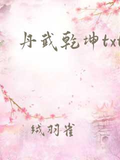 丹武乾坤txt