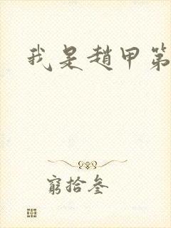 我是赵甲第小说