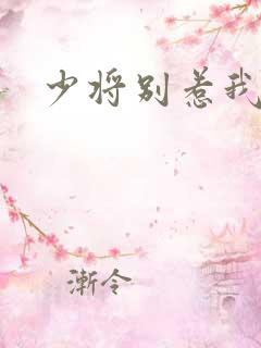 少将别惹我