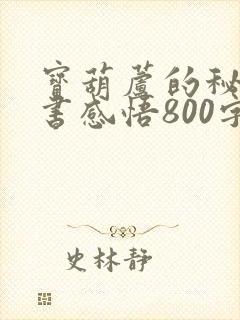 宝葫芦的秘密读书感悟800字左右