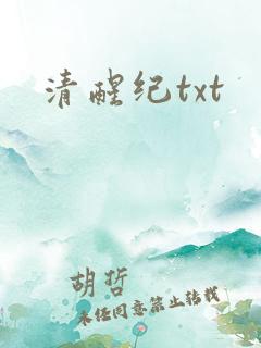 清醒纪txt