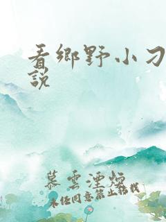看乡野小刁民小说