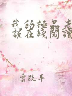 我的极品老婆小说在线阅读