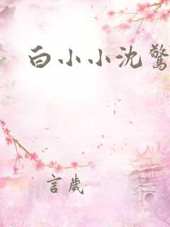 白小小沈惊觉