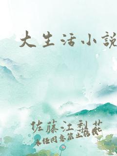 大生活小说