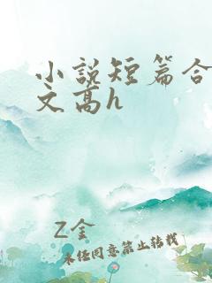小说短篇合集爽文高h